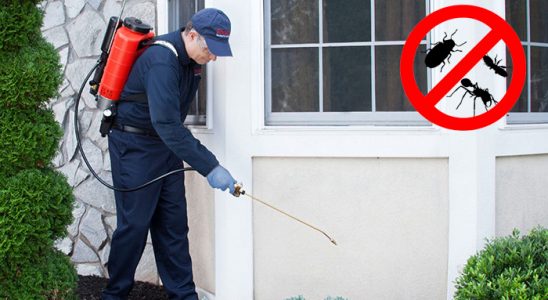 Van Hamam Böceği İlaçlama böcek ilaçlama ve haşere kontrolü — ilaclama-tr.com